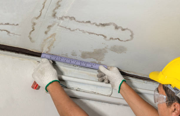 Reliable Water Damage contractor in Chandlersville, OH by Water Damage Irwin